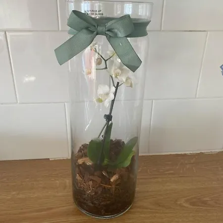 35 Atlantic View, 度假居