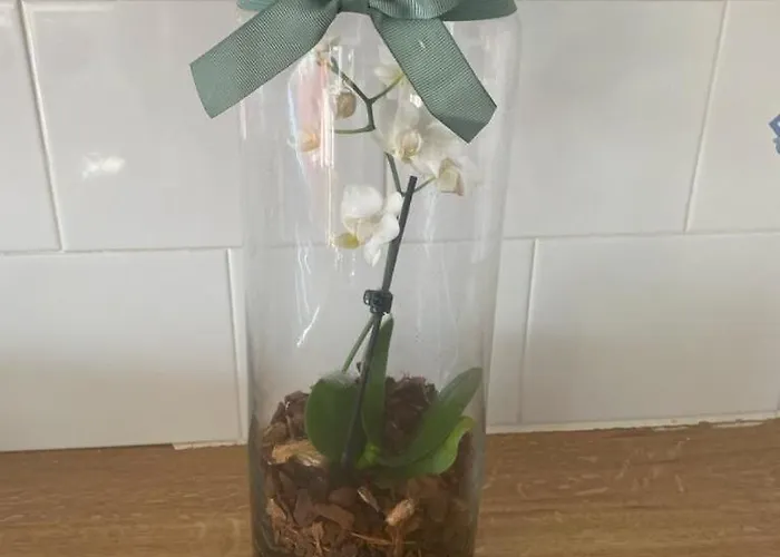 35 Atlantic View, Hébergement de vacances